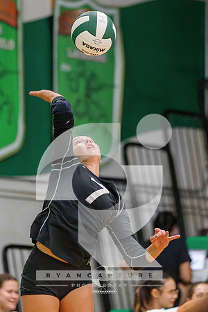 RJH08036-ARW_DxO_DeepPRIME