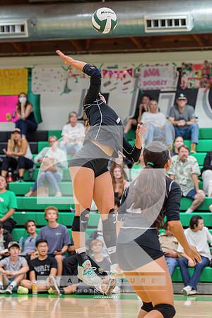 RJH08053-ARW_DxO_DeepPRIME