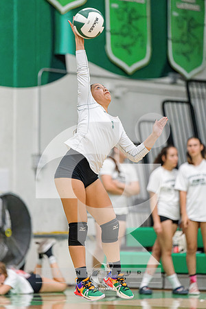 RJH08124-ARW_DxO_DeepPRIME