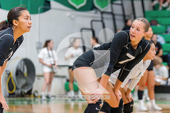 RJH08344-ARW_DxO_DeepPRIME
