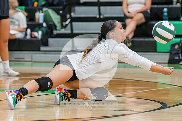 RJH08350-ARW_DxO_DeepPRIME