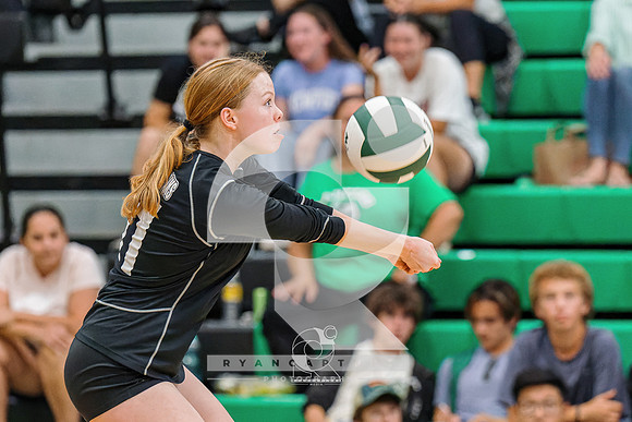 RJH08365-ARW_DxO_DeepPRIME