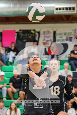 RJH08378-ARW_DxO_DeepPRIME
