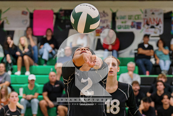 RJH08379-ARW_DxO_DeepPRIME