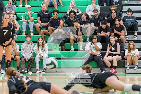 RJH08414-ARW_DxO_DeepPRIME