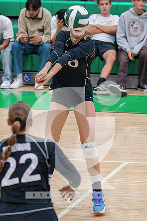 RJH08500-ARW_DxO_DeepPRIME