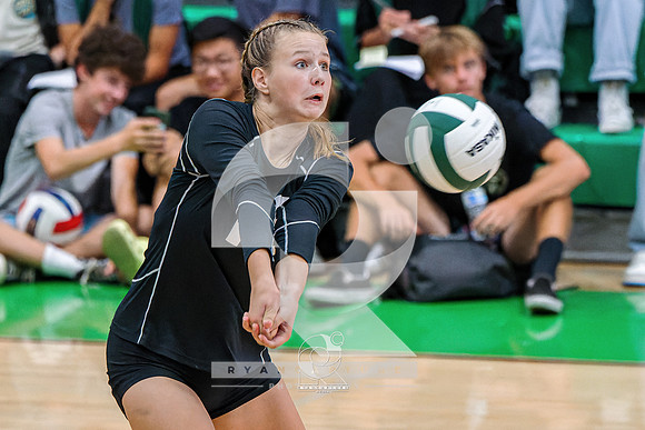 RJH08509-ARW_DxO_DeepPRIME