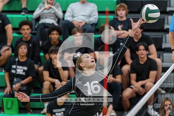 RJH08551-ARW_DxO_DeepPRIME-2