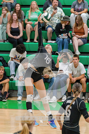 RJH08561-ARW_DxO_DeepPRIME