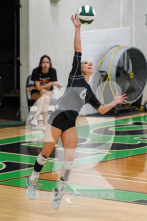 RJH08603-ARW_DxO_DeepPRIME