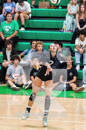 RJH08605-ARW_DxO_DeepPRIME