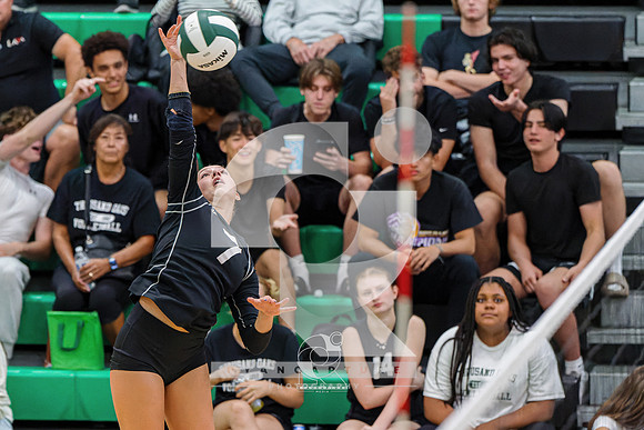 RJH08614-ARW_DxO_DeepPRIME-2