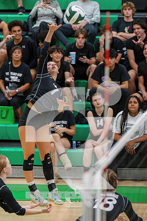 RJH08615-ARW_DxO_DeepPRIME