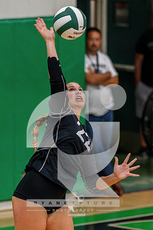 RJH08620-ARW_DxO_DeepPRIME
