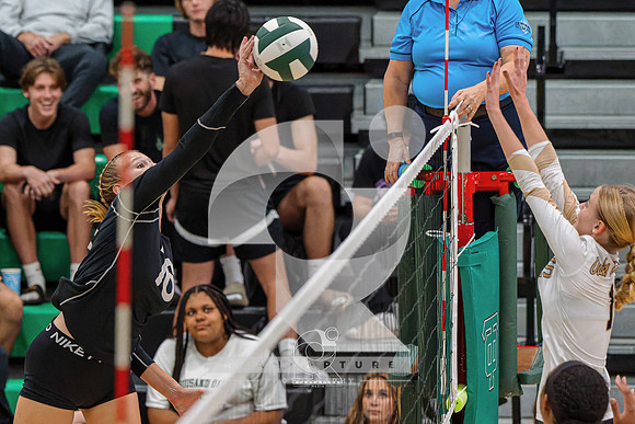 RJH08773-ARW_DxO_DeepPRIME-2