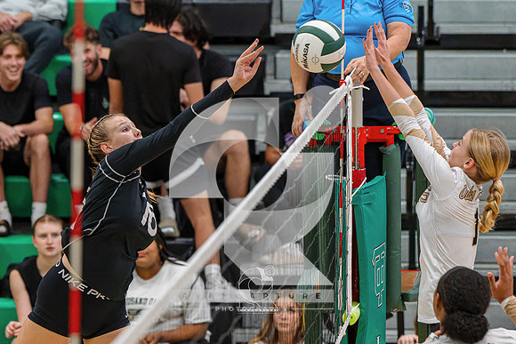 RJH08775-ARW_DxO_DeepPRIME