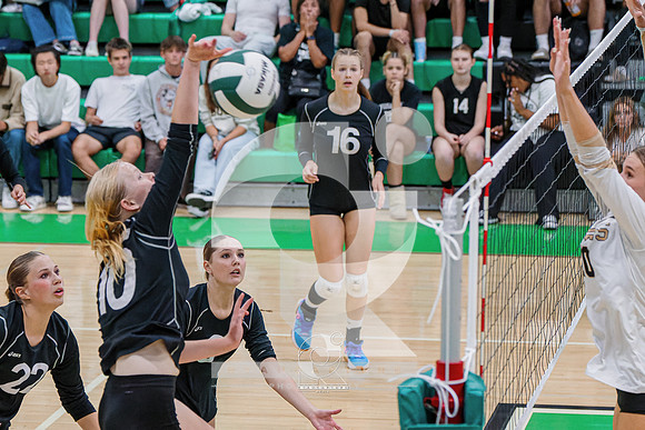 RJH08868-ARW_DxO_DeepPRIME