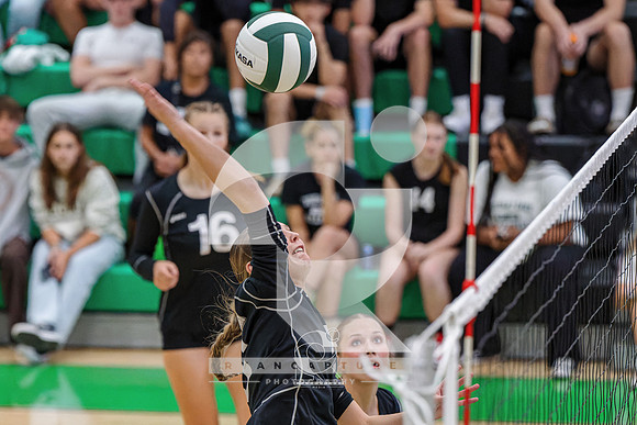 RJH08889-ARW_DxO_DeepPRIME