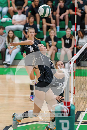 RJH08888-ARW_DxO_DeepPRIME