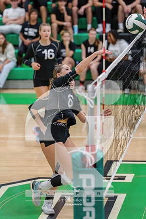RJH08892-ARW_DxO_DeepPRIME