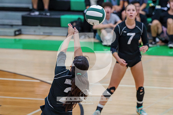 RJH08913-ARW_DxO_DeepPRIME-2