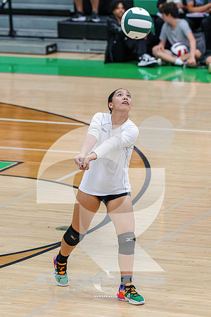 RJH08940-ARW_DxO_DeepPRIME