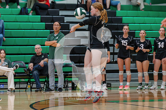 RJH08950-ARW_DxO_DeepPRIME-2