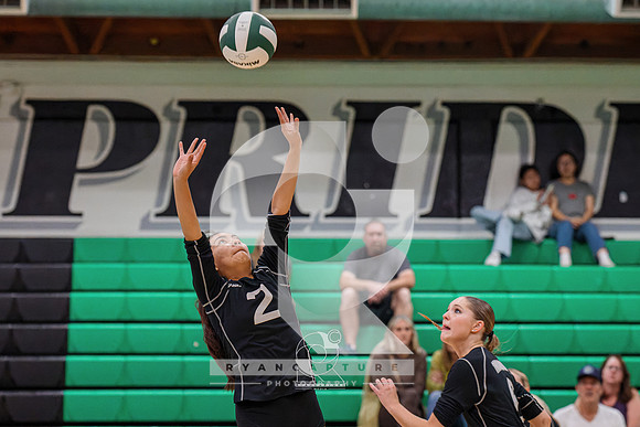 RJH08985-ARW_DxO_DeepPRIME