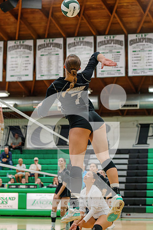 RJH09018-ARW_DxO_DeepPRIME