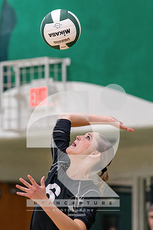 RJH09044-ARW_DxO_DeepPRIME-2