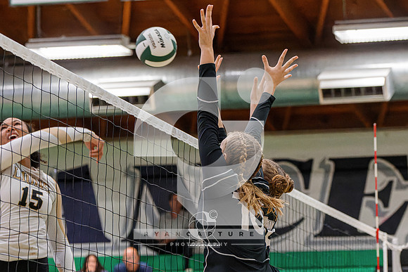 RJH09259-ARW_DxO_DeepPRIME-2