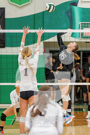 RJH09274-ARW_DxO_DeepPRIME