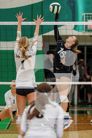 RJH09275-ARW_DxO_DeepPRIME