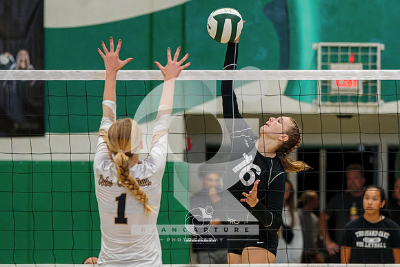 RJH09275-ARW_DxO_DeepPRIME-2