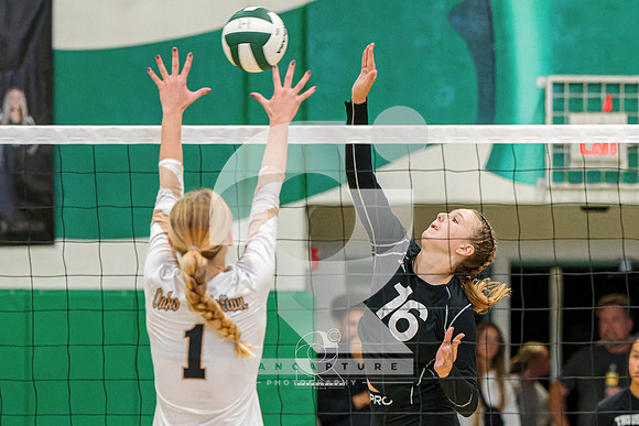 RJH09276-ARW_DxO_DeepPRIME-2