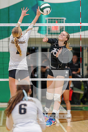 RJH09296-ARW_DxO_DeepPRIME