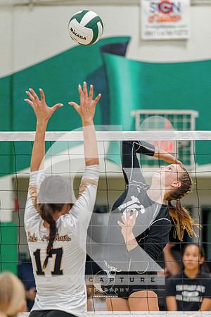 RJH09430-ARW_DxO_DeepPRIME