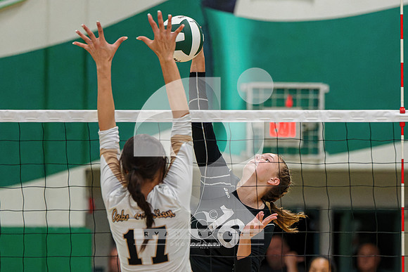RJH09432-ARW_DxO_DeepPRIME-2