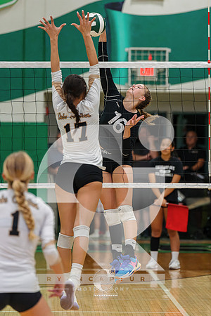 RJH09432-ARW_DxO_DeepPRIME
