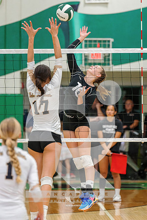 RJH09431-ARW_DxO_DeepPRIME