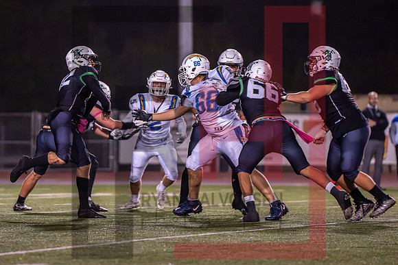 TOHS v Agoura--200