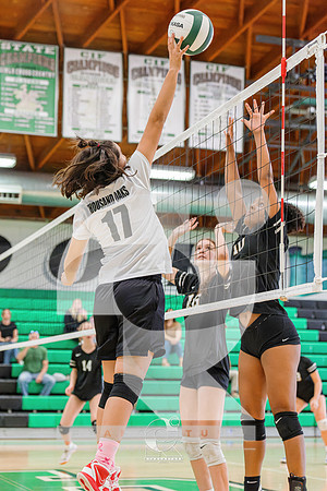 RJH00231-ARW_DxO_DeepPRIME