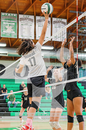 RJH00230-ARW_DxO_DeepPRIME