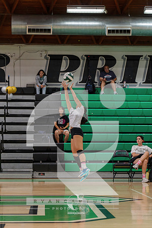 RJH01267-ARW_DxO_DeepPRIME