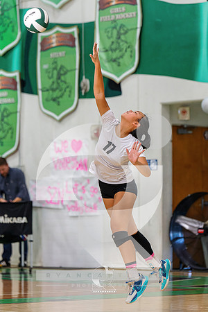 RJH01288-ARW_DxO_DeepPRIME