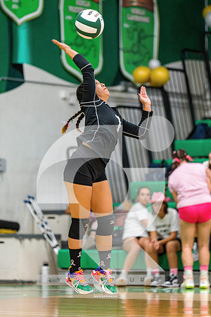 RJH01708-ARW_DxO_DeepPRIME