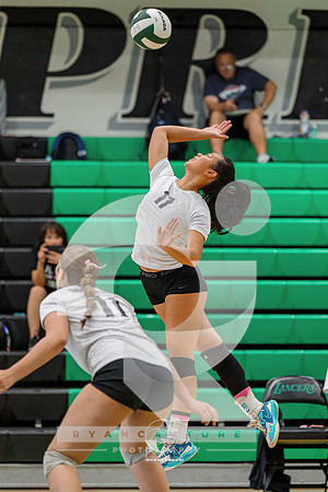 RJH01060-ARW_DxO_DeepPRIME