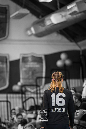 RJH00868-ARW_DxO_DeepPRIME