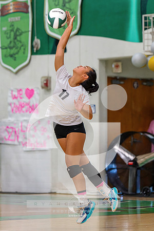 RJH01287-ARW_DxO_DeepPRIME