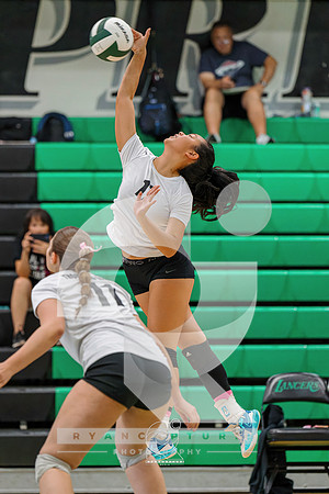 RJH01061-ARW_DxO_DeepPRIME